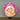 Mocsicka Custom Round Backdrop Cover
