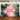 Tropical Tropical Forest Green Vegetation Pink Happy Birthday Backdrop
