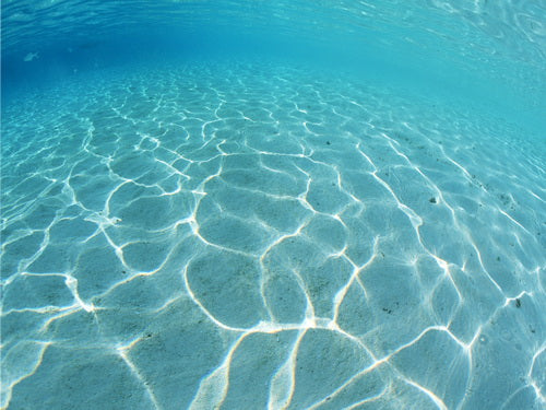 Mocsicka Summer Blue Undersea Backdrop for Party Decoration-Mocsicka Party