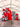 Mocsicka Custom 2-Pieces Double-printed Chiara Cover Backdrop for Birthday-Mocsicka Party