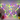 Mocsicka Colorful Butterfly LED Neon Sign for Butterfly Theme Birthday Party Decoration
