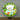 Mocsicka Dinosaur and Plam Leaves Happy Birthday Round Cover-Mocsicka Party