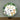 Mocsicka Wild One Plam Leaves Little Animals Round Cover-Mocsicka Party