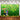 Mocsicka Happy St.Patrick's Day Party Decor Prop Clovers and Golds Green Backdrop-Mocsicka Party