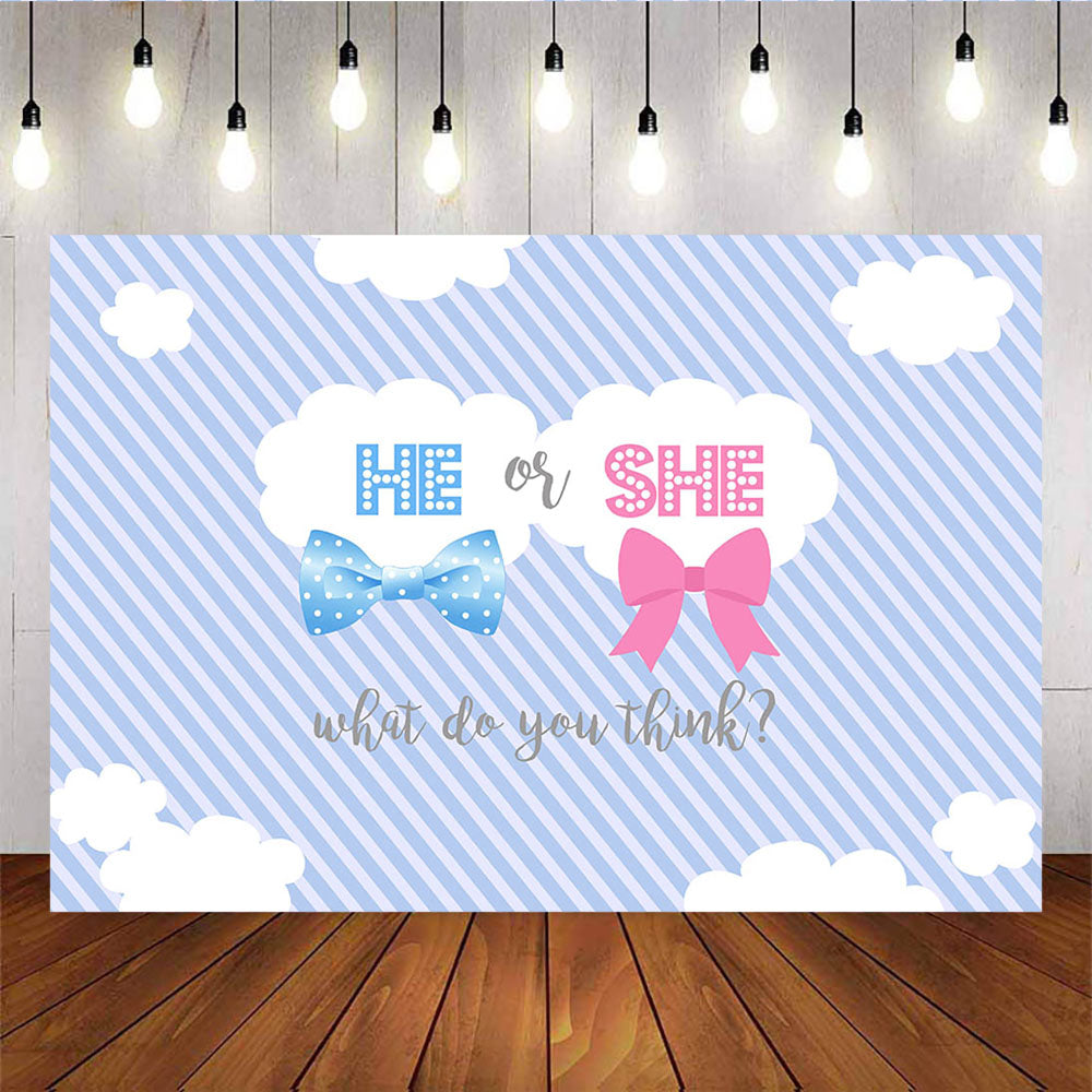 Mocsicka He or She Gender Reveal Party Props Diagonal Stripes White Clouds Background-Mocsicka Party