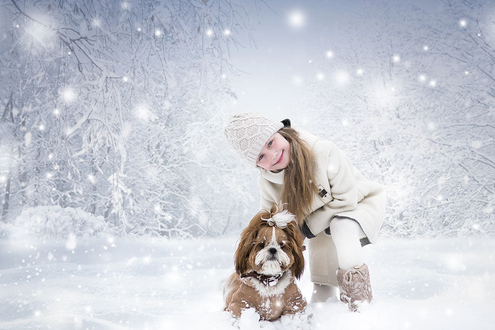Mocsicka Winter Snow Scene Photo Backdrop-Mocsicka Party