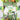 Mocsicka It's a Boy Little Dinosaur Baby Shower Party Backdrop-Mocsicka Party