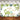 Mocsicka It's a Boy Little Dinosaur and Plam Leaves Baby Shower Backdrop-Mocsicka Party