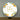 Mocsicka two orange Baby Shower Cover-Mocsicka Party