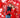 Valentine's Day Party: Romantic Backdrops to Set the Mood