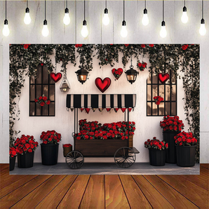 Mocsicka Valentine's Day Romantic Heart Backdrop D