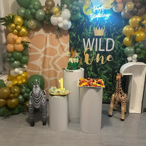 Mocsicka Wild One Happy Birthday Party Double-printed Chiara Arch Cover Backdrop