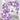 Mocsicka 118pcs Purple and Pink Butterfly Party Decoration Balloon Arch Set