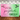 Mocsicka Pink Crown Magic Wand Goes Good With Green Witch Broom Castle Party Backdrop
