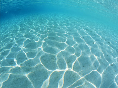 Mocsicka Summer Blue Undersea Backdrop for Party Decoration-Mocsicka Party