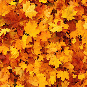 Mocsicka Autumn Maple Leaves Ployester Floor for Party Decoration