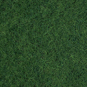 Mocsicka Dark Green Lawn Ployester Floor for Birthday Party Decoration