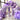 Mocsicka Lavender Purple Latex Balloon Arches Set Party Decoration