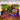 [Only Ship To U.S] Mocsicka Back to the 90s Graffiti Wall Background Retro Radio and Record Backdrop-Mocsicka Party