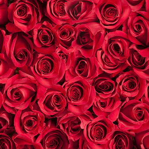 Mocsicka Red Rose Ployester Floor for Wedding Party Decoration