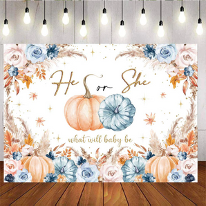 Mocsicka Pumpkin He or SHe What Will Baby Be Gender Reveal Party Backdrop