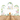 Mocsicka Watercolor Dinosaur “Happy Birthday” Baby Shower Double-printed Chiara Arch Cover Backdrop