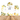 Mocsicka Sunflower Bee “So Sweet to Bee One”  Baby Shower Double-printed Chiara Arch Cover Backdrop