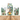 Mocsicka Camping Bear “ONE Happy Camper” Baby Shower Double-printed Chiara Arch Cover Backdrop