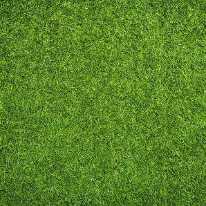 Mocsicka Green Grass Ployester Floor for Birthday Party Decoration