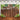 Mocsicka Rustic Wood Green Leaves Happy Birthday Backgrounds