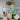 Mocsicka Cute Baby Safari Theme Birthday Round cover and Cylinder Cover Kit for Party Decoration