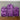 Mocsicka Glitter Purple Double-printed Chiara Fabric Cover Backdrop for Party-Mocsicka Party