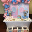 Mocsicka Boy or Girl Shining Balloons Gender Reveal Baby Shower Party Banners-Mocsicka Party