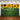 Mocsicka Sunflowers and Green Leaves Party Backgrounds
