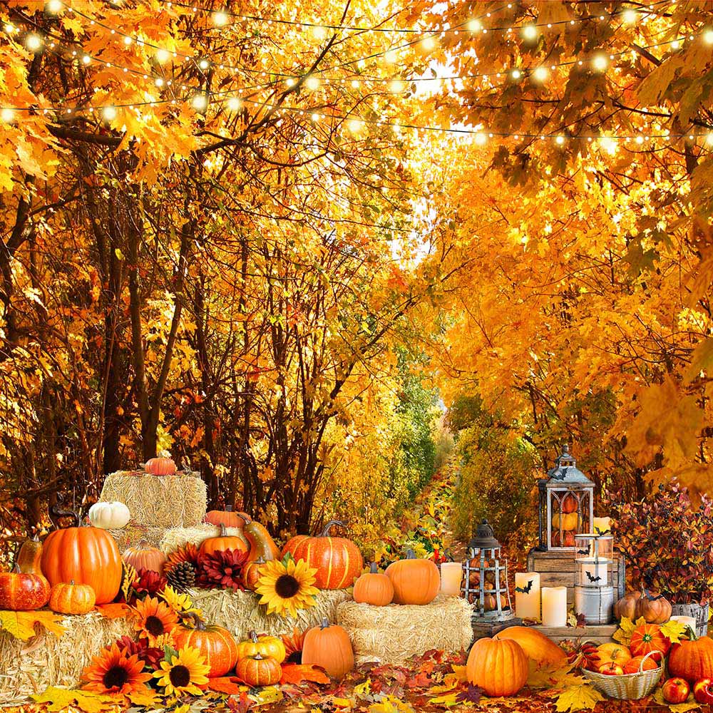 Mocsicka Autumn Theme Maple Forest and Pumpkin Photo Banner
