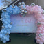 Mocsicka Boy or Girl Gender Reveal Backdrop Custom Baby Shower Backdrops