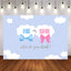 Mocsicka He or She Gender Reveal Party Props Diagonal Stripes White Clouds Background-Mocsicka Party
