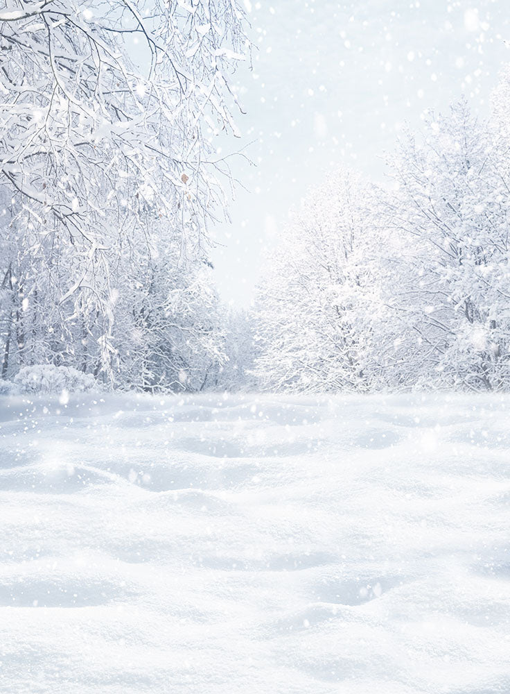 Mocsicka Winter Snow Scene Photo Backdrop
