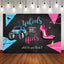 Mocsicka Wheels or Heels Gender Reveal Baby Shower Party Backdrop