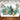 Mocsicka Forest and Animals Woodland Oh Baby Shower Backdrop-Mocsicka Party