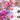 $19.9 Sale Mocsicka Balloon Arch Pink Party Decoration Balloon Set