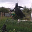 Mocsicka Halloween Decorations Scream Scarecrow