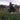 Mocsicka Halloween Decorations Scream Scarecrow