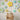 Mocsicka Balloon Arch Macaron Balloons Set Party Decoration