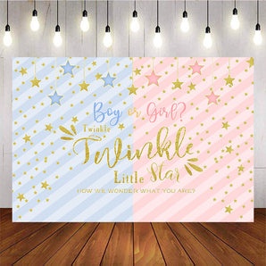 Mocsicka Boy or Girl Twinkle Little Stars Gender Reveal Backdrop Diagonal Stripes Baby Shower Back Ground-Mocsicka Party