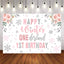 Mocsicka Winter Onederland Snowflakes Happy Birthday Backdrop-Mocsicka Party