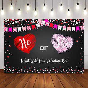 Mocsicka Happy Valentine's Day He or She Babyshower Backdrop Photo Background