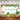 Mocsicka Beach Party Backdrop Plam Leaves Summer Glasses Pineapple Birthday Background-Mocsicka Party