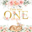 Mocsicka Pink Flowers and Deer Little Miss Onederful birthday Backdrop