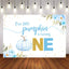 Mocsicka A Little Blue Pumpkin is turning one Baby Shower Back Drops-Mocsicka Party